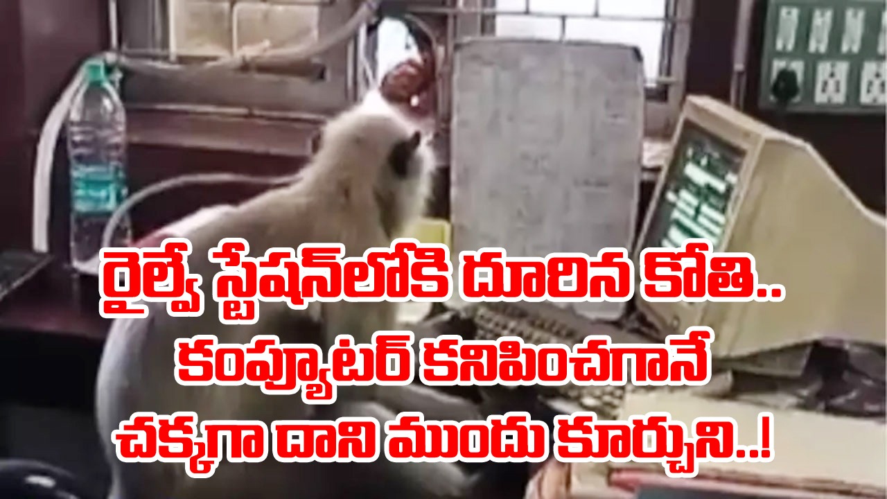 Viral Video: ఈ కోతి కొత్తగా ఉద్యోగంలో చేరిందా ఏంటి..? కంప్యూటర్ ముందు కూర్చుని ఎంత సిన్సియర్‌గా పనిచేస్తోందో చూడండి..!