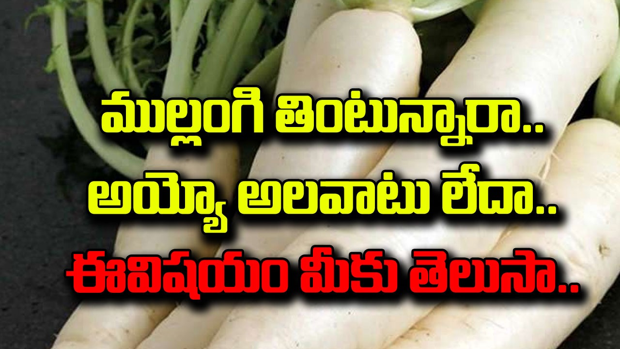 Radish : కూరల్లో ముల్లంగి తినేది తక్కువేనా.. అయితే చాలా నష్టపోతున్నట్టే.. ముల్లంగిని తరచుగా తింటే..!!