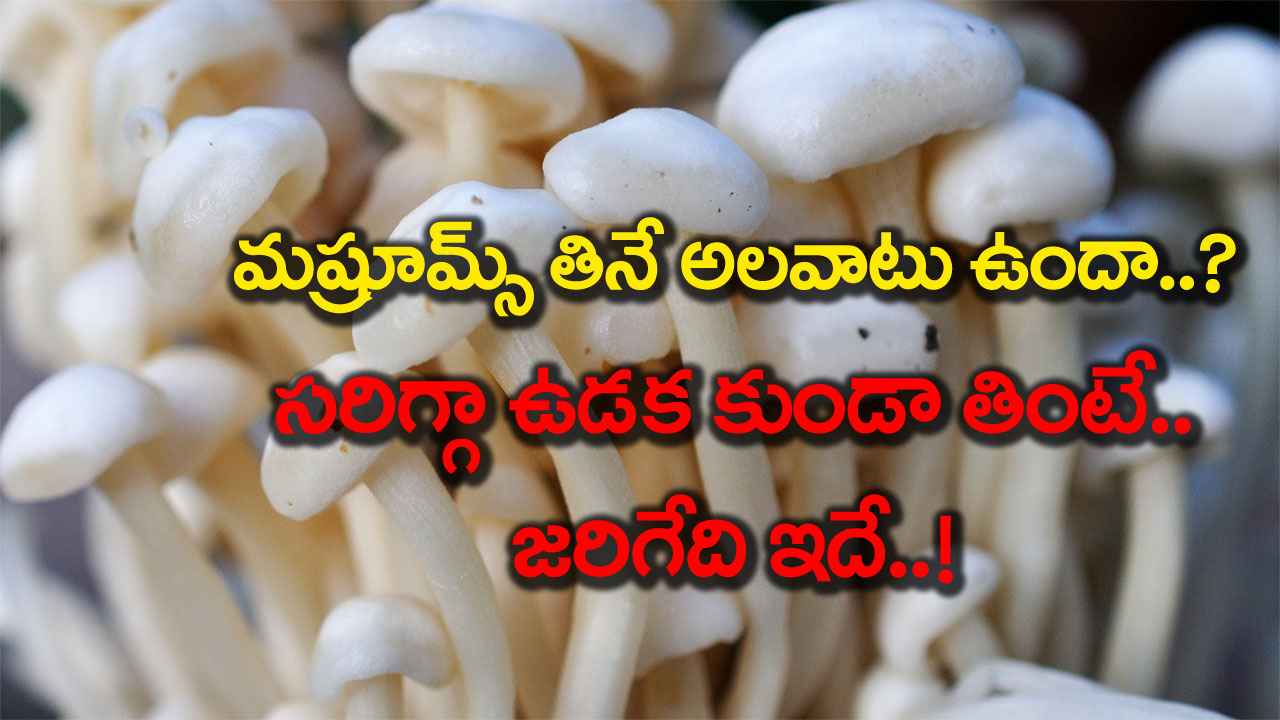 Shocking: సరిగ్గా ఉడకని మష్రూమ్‌లను తిన్నాడో వ్యక్తి.. తర్వాత ఏం జరిగిందో తెలిస్తే..!