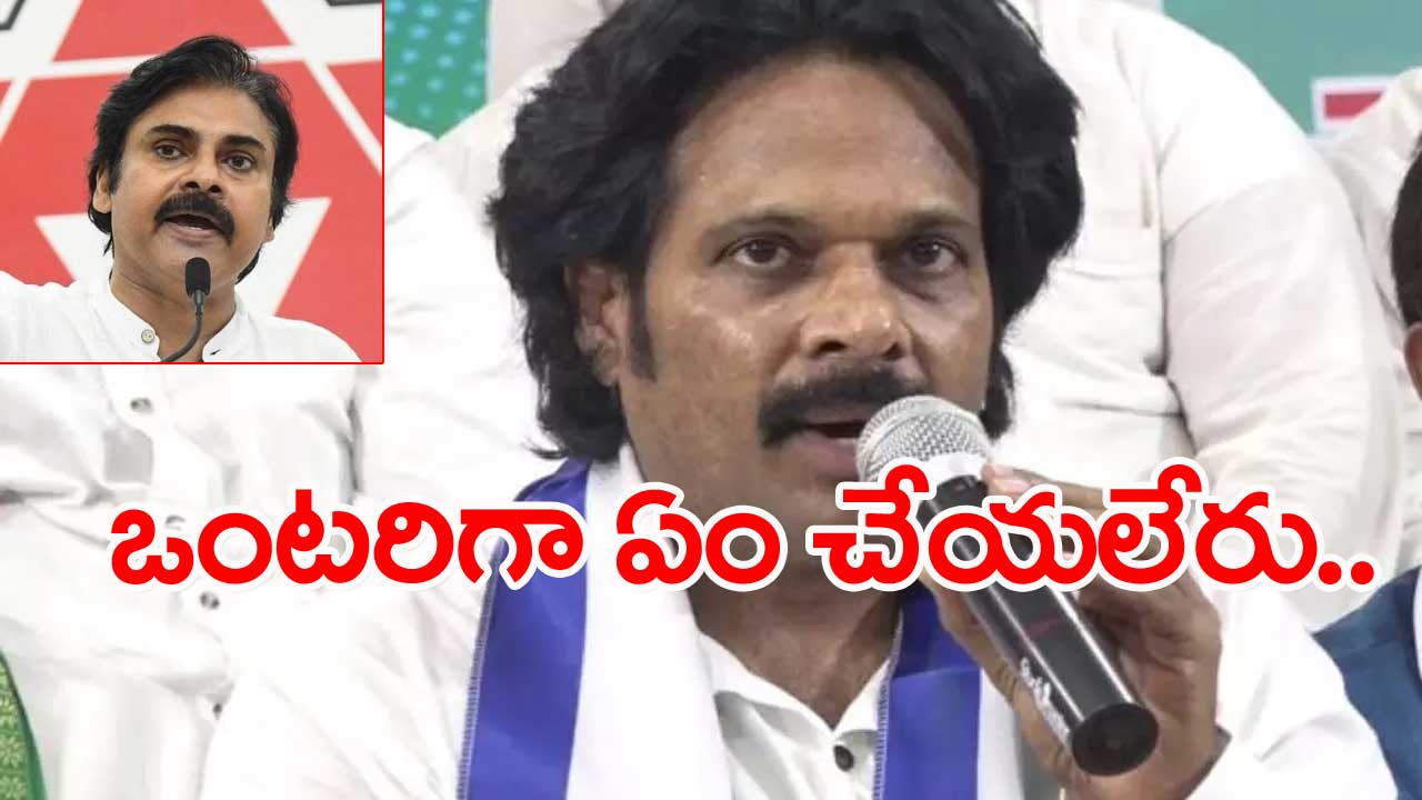 MP MVV: స్టీల్‌ప్లాంట్ ప్రైవేటీకరణపై పవన్ కేంద్రాన్ని ఎందుకు ప్రశ్నించడంలేదు?