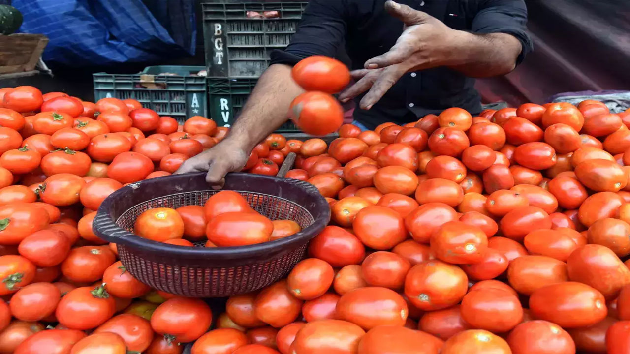 Tomato: రూ.20 తగ్గిన టమోటా