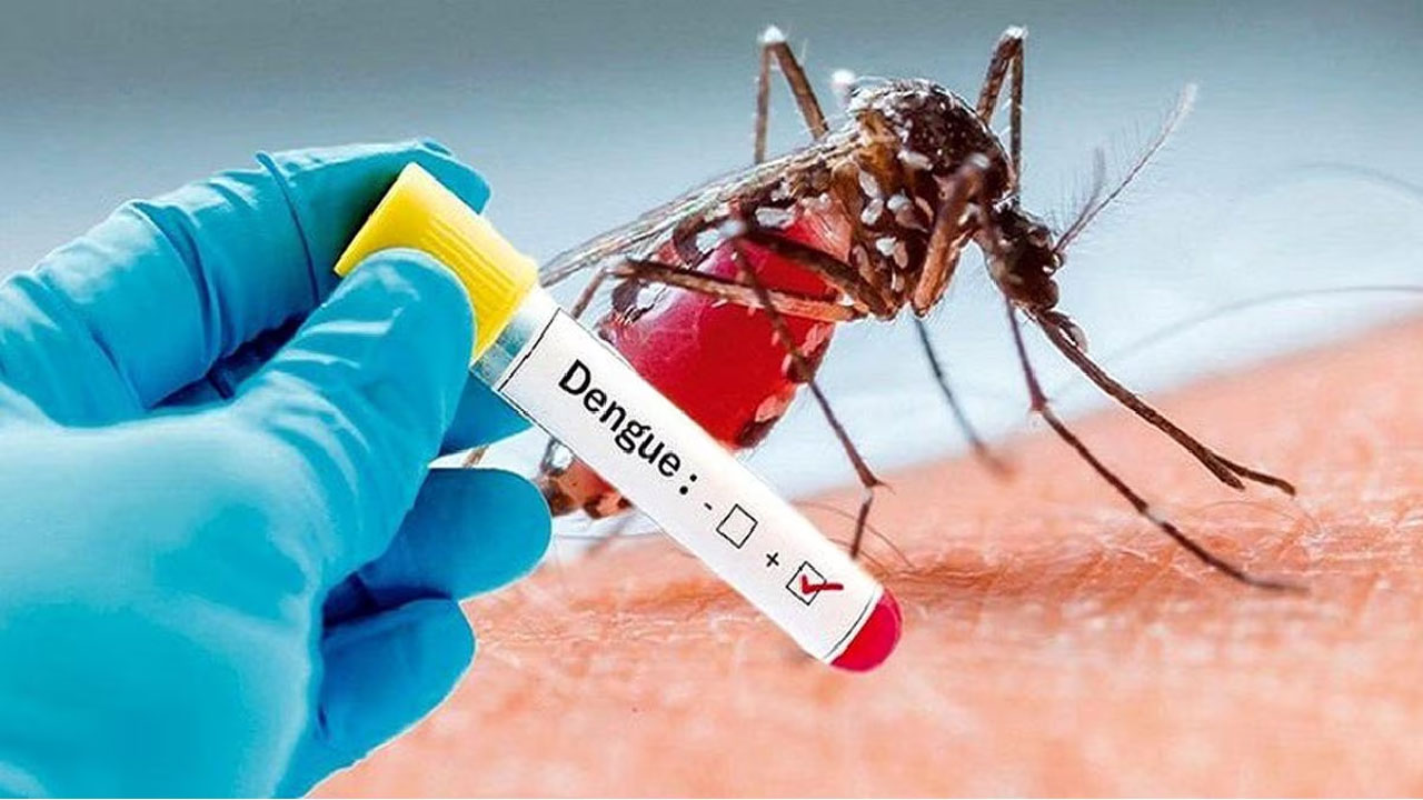 Dengue: వామ్మో.. బాగానే పెరిగిందిగా... చెన్నైని వణికిస్తున్న డెంగ్యూ 