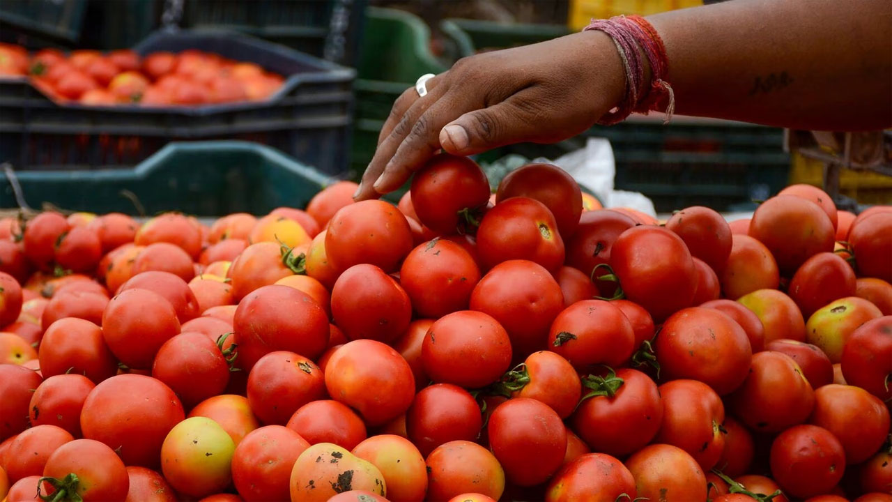 Tomato: రూ. 10 తగ్గిన టమోటా ధర.. కిలో ఎంతంటే...