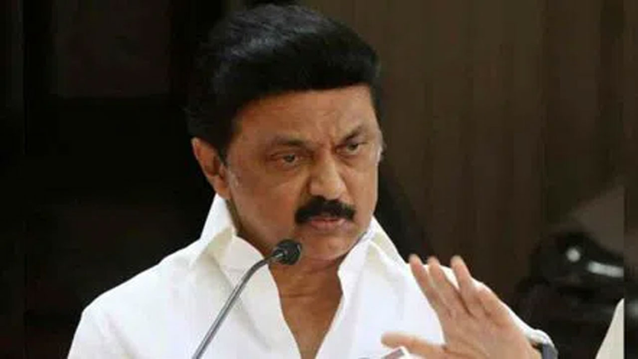 CM Stalin: సీఎం స్టాలిన్ ఆసక్తికర కామెంట్స్.. ఆయన ఏమన్నారంటే...