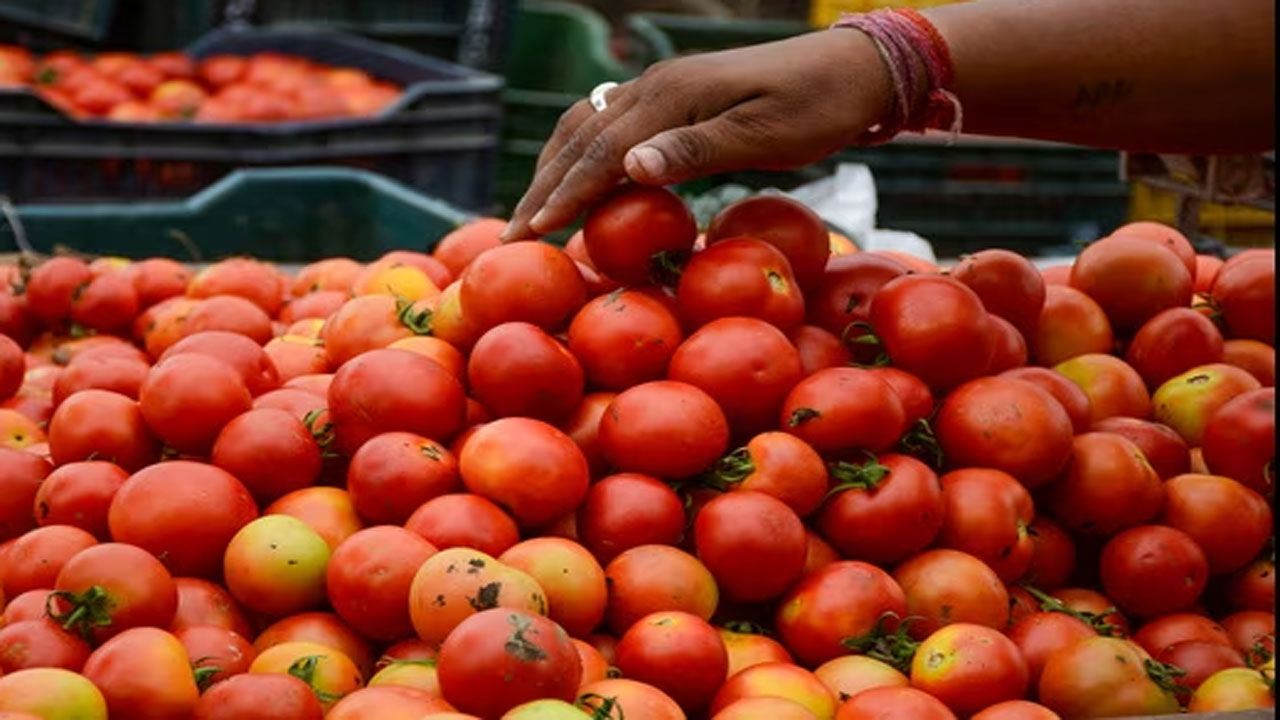 Tomato: ఆదాయం కురిపించిన టమోటా.. ఒకేరోజు రూ.1.49 లక్షలు పొందిన రైతు