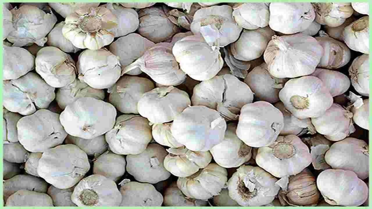 Garlic: మొన్న టమోటా.. ఇప్పుడు వెల్లుల్లి.. కిలో ఎంతంటే...