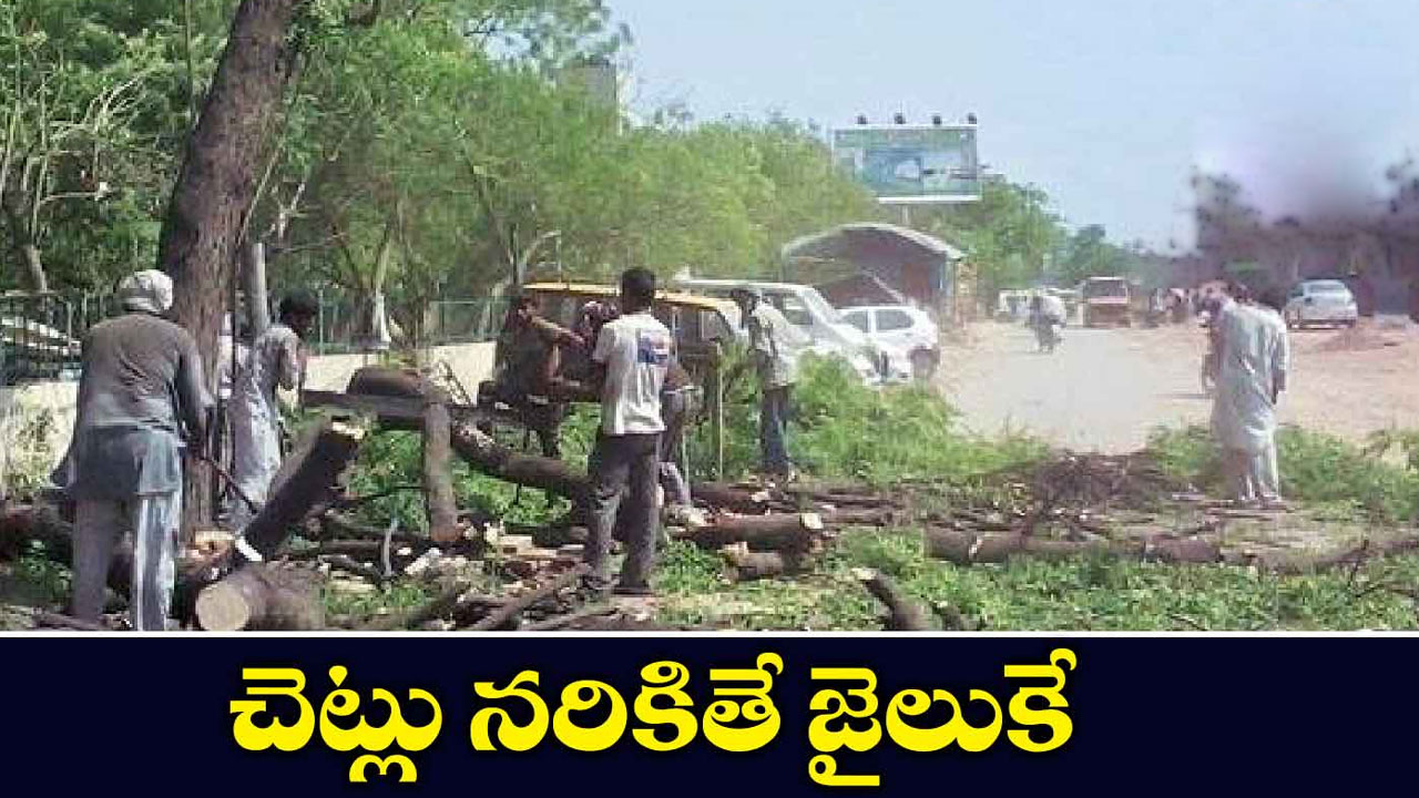 Supriya Sahu: చెట్లు నరికితే ఏడాది జైలుకే..