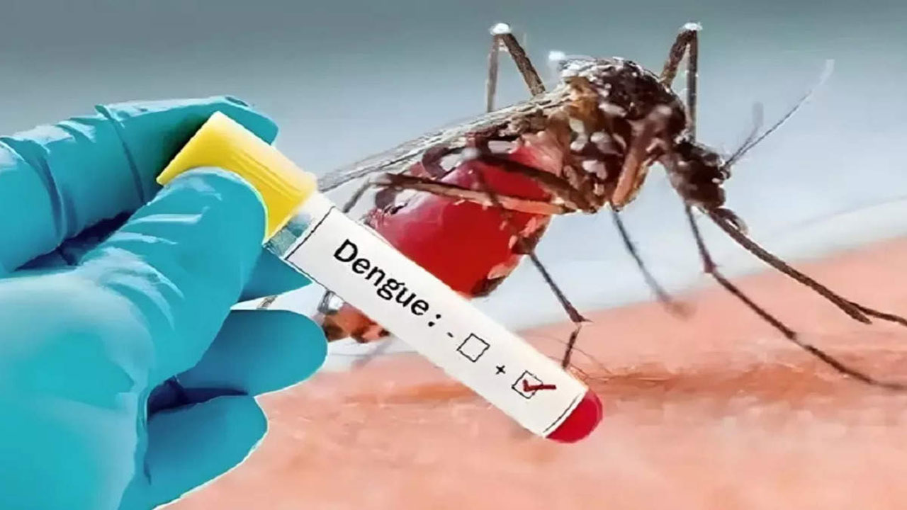 Dengue fever: రాష్ట్రాన్ని వణికిస్తున్న డెంగ్యూ జ్వరాలు 