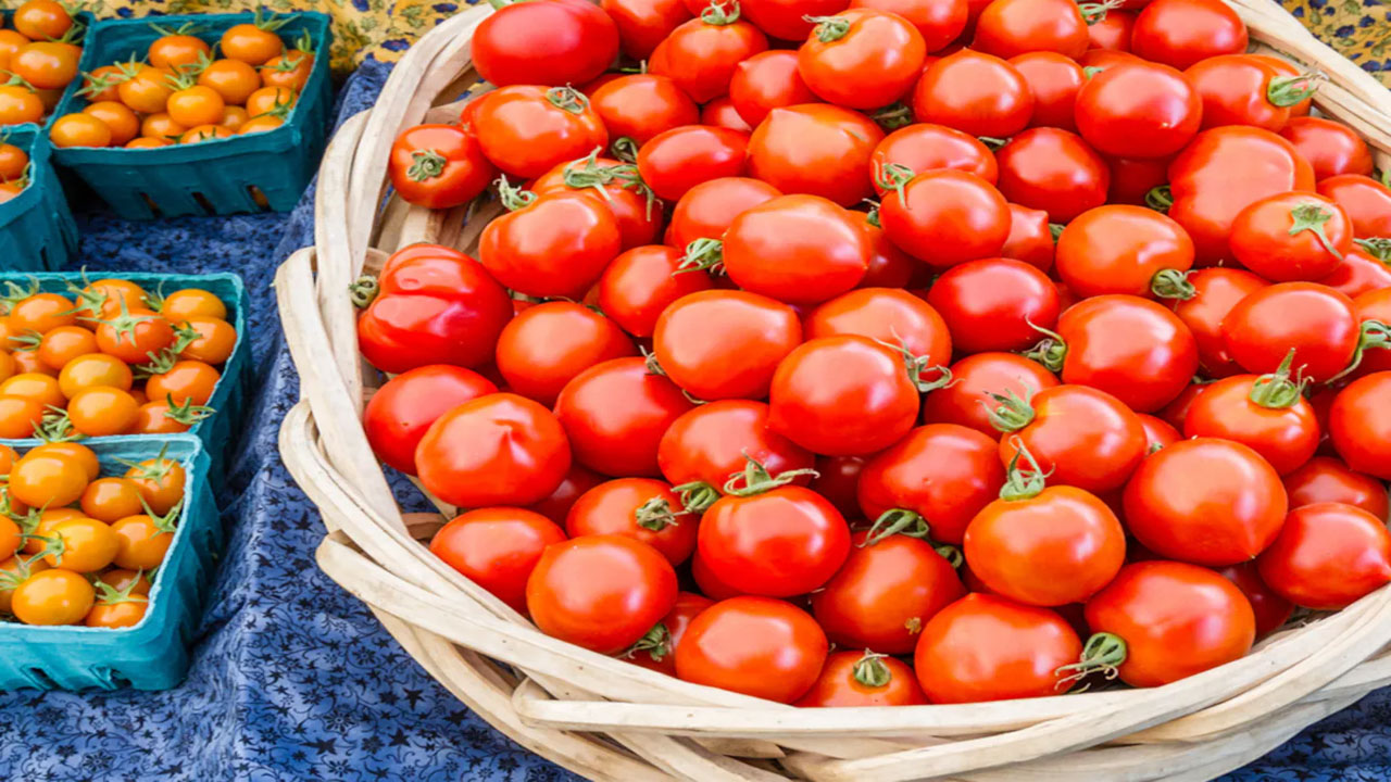 Tomato prices: దిగి వస్తున్న టమోటా ధరలు.. కిలో ఎంతంటే.. 