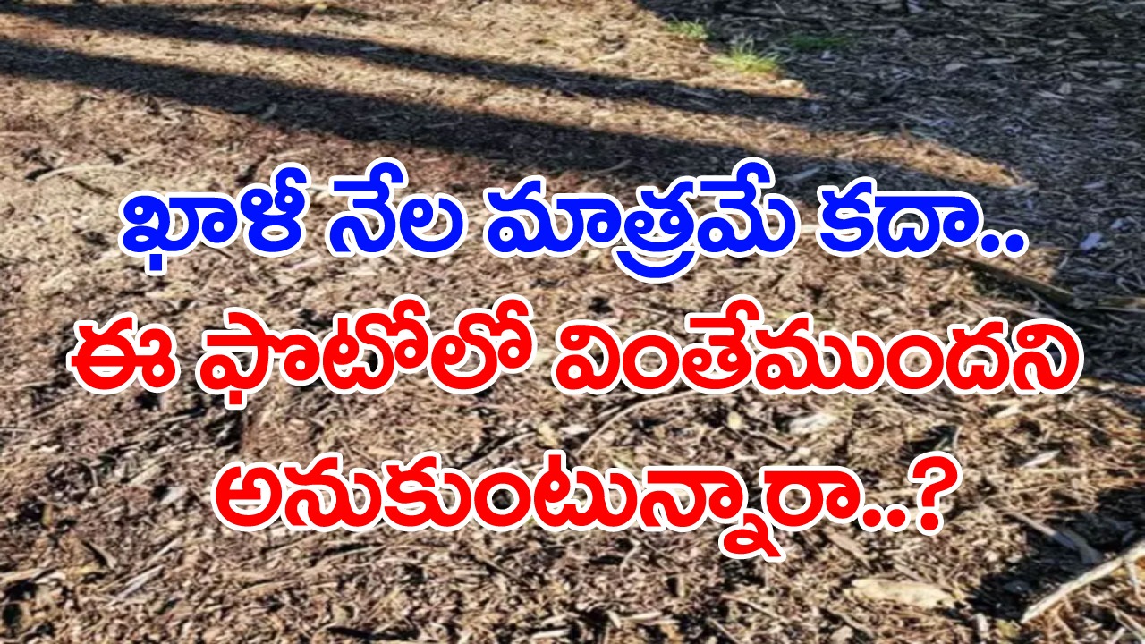 Viral Photo: ఈ ఫొటోలోనే దాగి ఉందో సీక్రెట్.. జాగ్రత్తగా చూసినా గుర్తించడం యమా కష్టం.. ఏముందో చెప్పగలరా..?