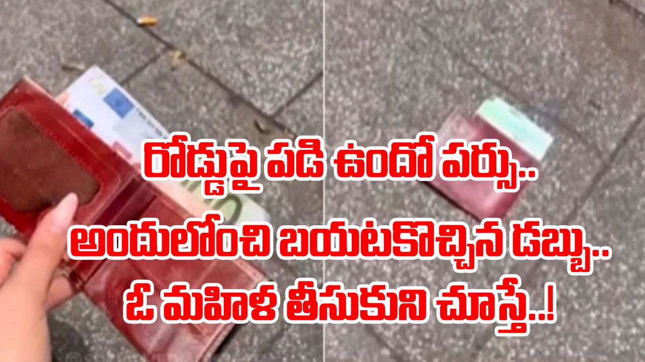 Viral Video: రోడ్డుపై పడి ఉందో పర్సు.. ఎవరో పారేసుకున్నారని దాన్ని తీసుకుని ఓపెన్ చేసిన మహిళకు షాకింగ్ ట్విస్ట్..!