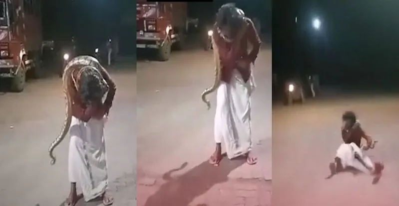 he-played-with-a-python-under-the-influence-of-alcohol-see-what-happened-in-the-end