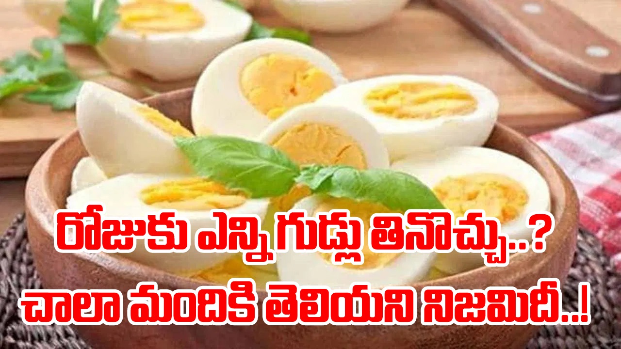 Eggs: కోడిగుడ్లను తినే అలవాటుందా..? రోజూ ఆమ్లెట్స్‌ను తెగ లాగించేస్తుంటారా..? అసలు రోజుకు ఎన్ని గుడ్లను తినొచ్చంటే..!