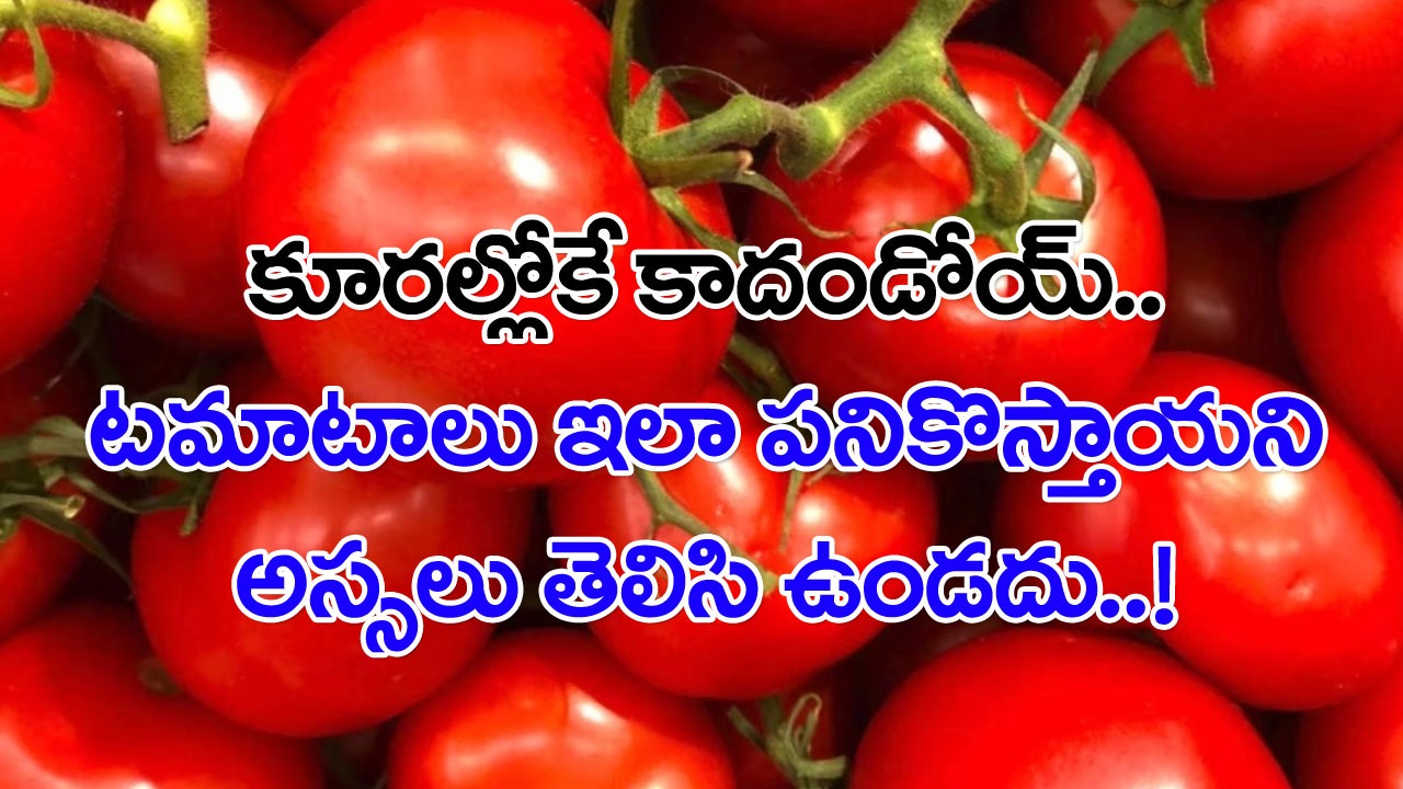 Tomato: రేటు ఎక్కువ అని ఆలోచించకండి.. టొమాటోలకు వీటిని కలిపి ముఖానికి ఒక్కసారయినా రాసుకుంటే..!