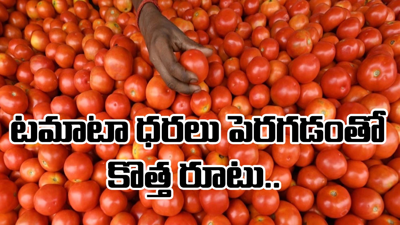 Tomato Price Effect: టమాటా ధరలు పెరగడంతో కొత్త రూటు.. వాటికి బదులుగా ఇప్పుడు వేటిని వాడుతున్నారో తెలిస్తే..!