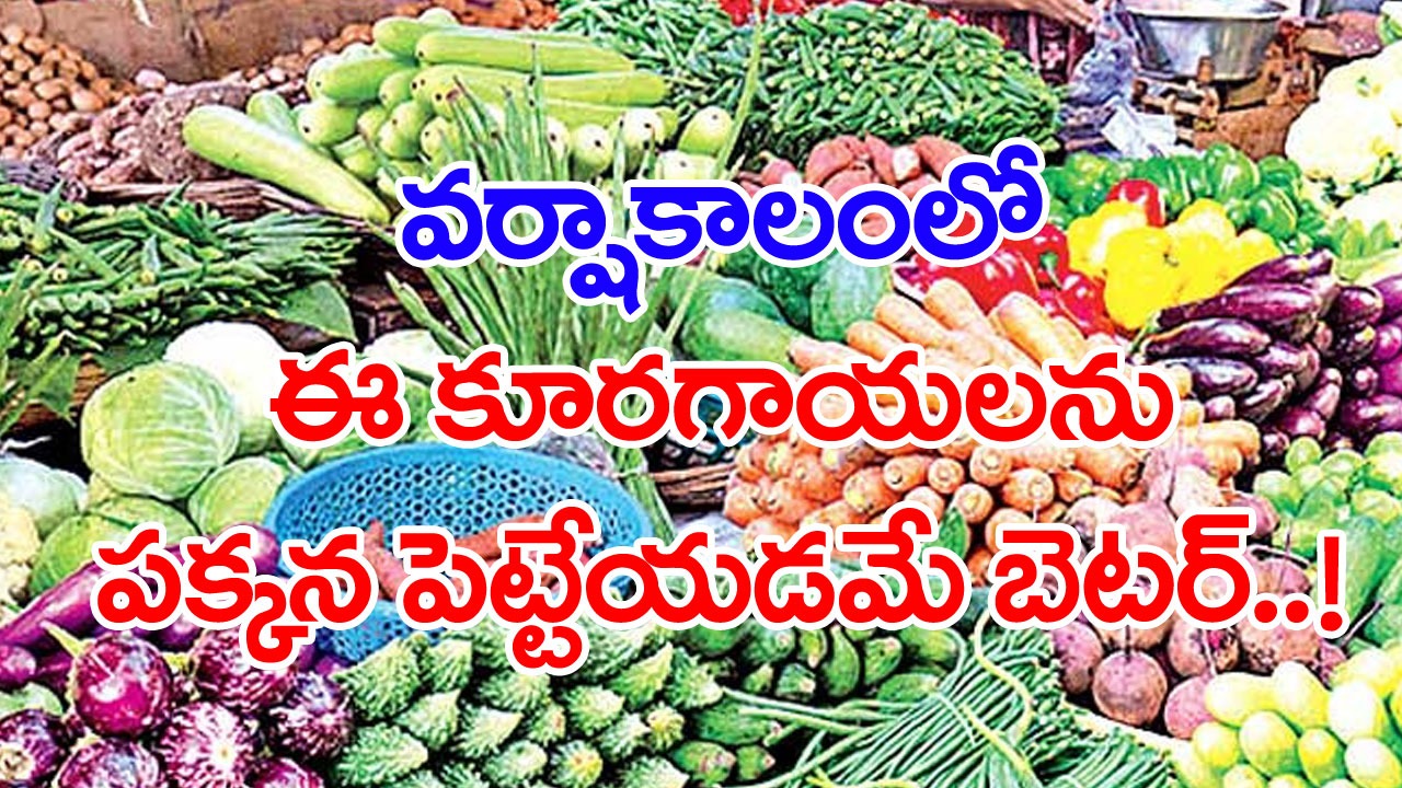 Monsoon: వర్షాకాలంలో వంకాయలు వాడకూడదని ఎందుకంటారు..? ఇంకా ఏఏ కూరగాయలను పక్కన పెట్టాలంటే..!