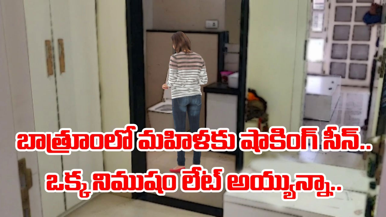 Viral Video: బాత్రూంలోకి వెళ్లిన మహిళ.. అనుమానం వచ్చి తొంగిచూడగా షాకింగ్ సీన్.. చివరకు ఆమె చేసిన పని చూస్తే అవాక్కవ్వాల్సిందే.. 