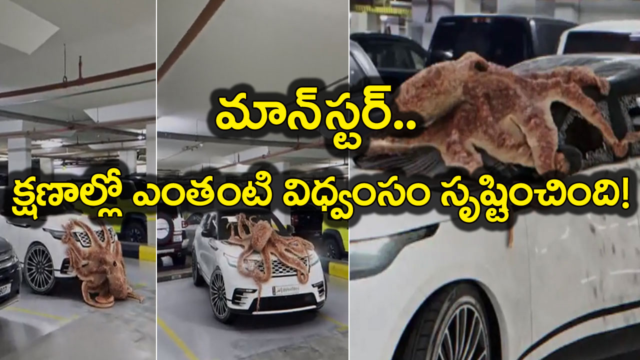 Shocking Video: ఓరి దేవుడో.. ఇదేం ఘోరం.. కారుపైకి ఎగబాకిన ఆక్టోపస్.. ఒక్క నిమిషంలోనే కలలో కూడా ఊహించని సీన్..!