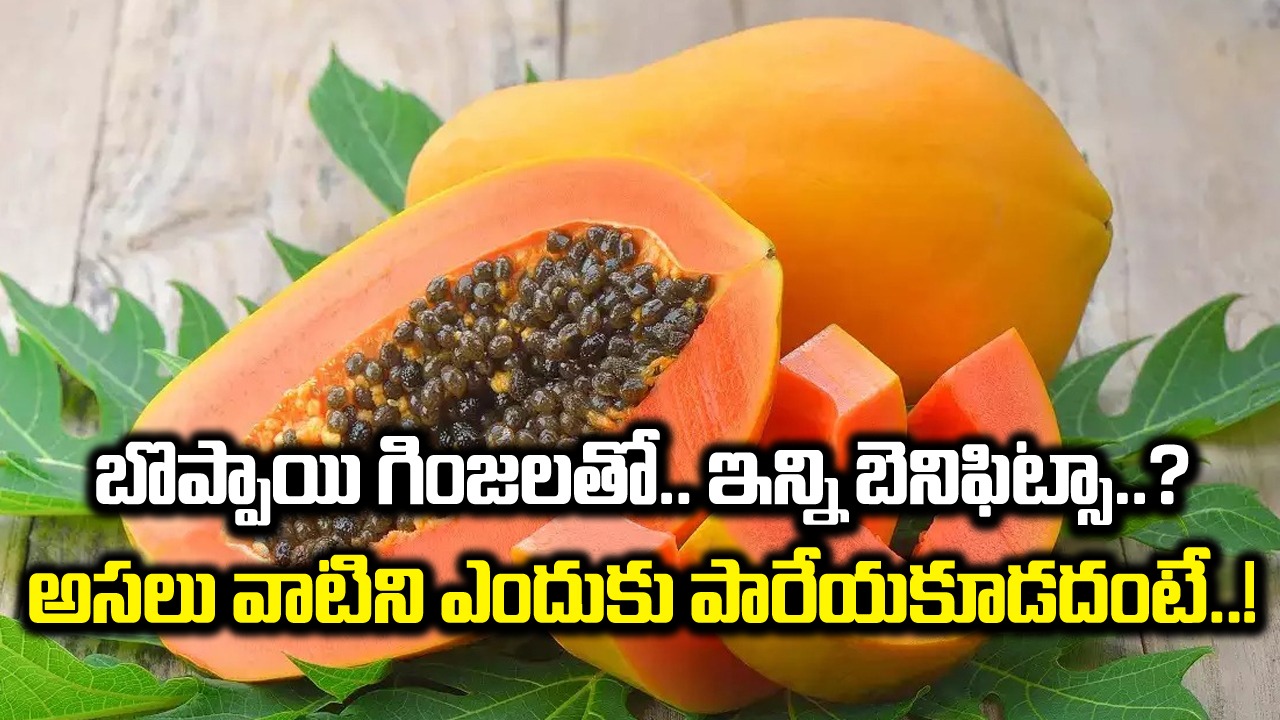 Papaya Seeds: బొప్పాయిని తింటూ.. వాటిల్లోని విత్తనాలను మాత్రం పారేస్తున్నారా..? ఈ 8 నిజాల గురించి తెలిస్తే..!