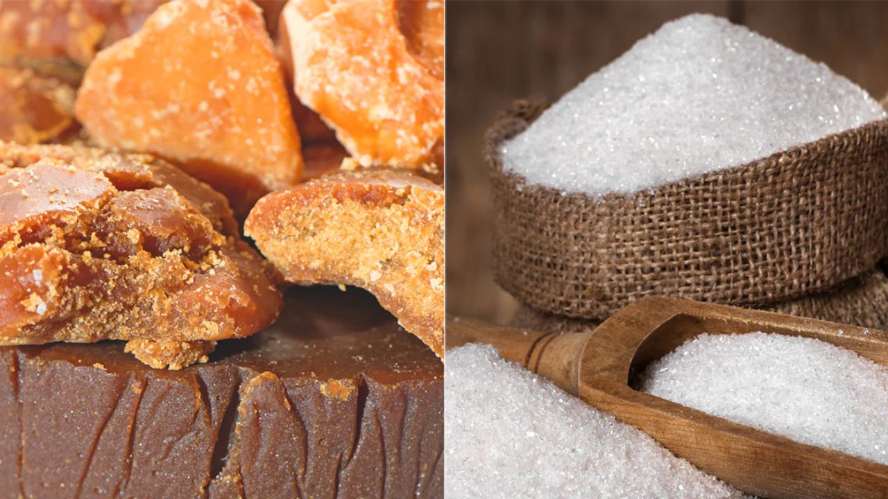 Sugar Vs Jaggery: బెల్లం, చెక్కరా రెండూ చెరకు నుంచే చేస్తారుగా? అయినా చెక్కర కంటే బెల్లం ఎందుకు మెరుగంటే..