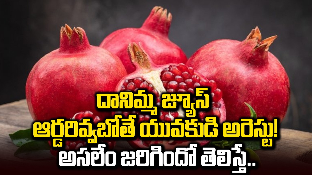 Viral: విదేశీ టూర్లలో ఈ తప్పు అస్సలు చేయకండి! దానిమ్మ జ్యూస్ ఆర్డరిచ్చిన యువకుడిని ఎందుకు అరెస్టు చేశారంటే..