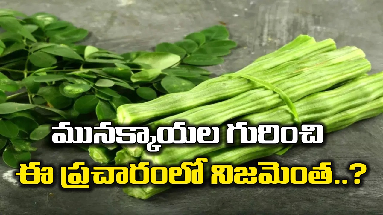 Drumstick Benefits: మునక్కాయల గురించి ఈ ప్రచారంలో అసలు నిజమెంత..? 