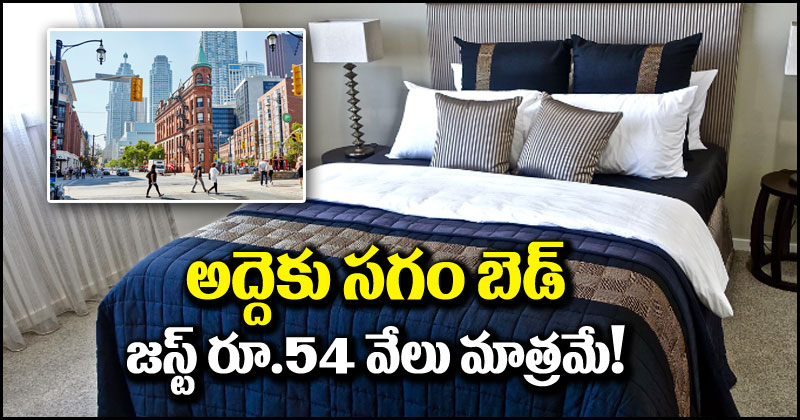 Bed For Rent: మహిళ ఆఫర్.. అద్దెకు ‘సగం బెడ్’.. జస్ట్ రూ.54 వేలు మాత్రమే.. ఎక్కడో తెలుసా?