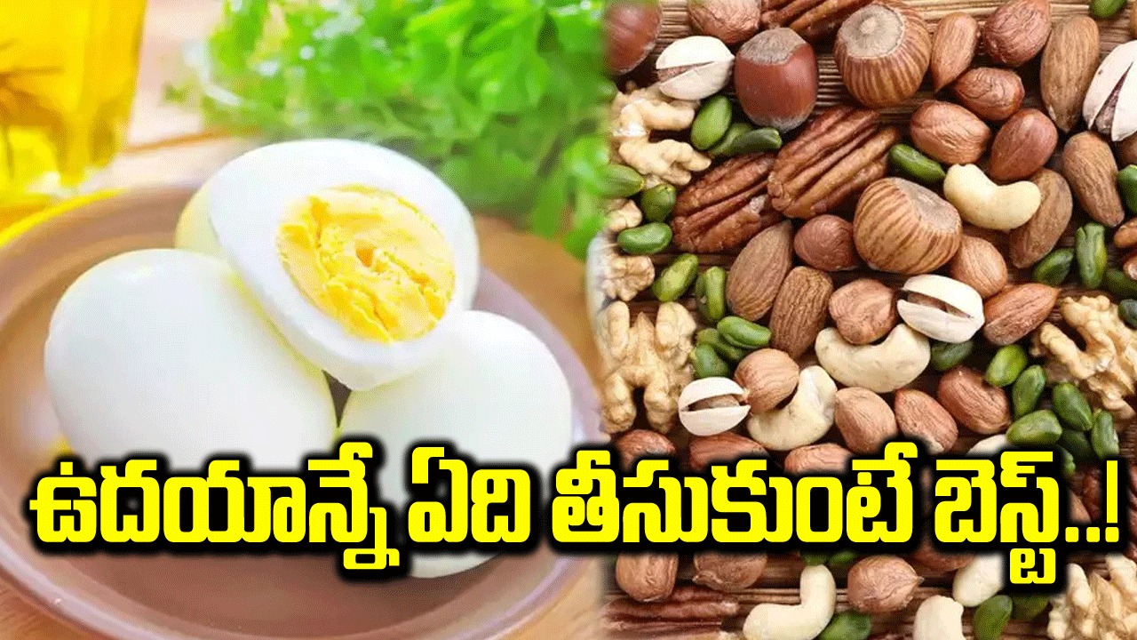 Eggs vs Nuts: అల్పాహారంగా ఆరోగ్యానికి గుడ్లు, డ్రైఫ్రూట్స్ వీటిలో ఏది బెస్ట్..!