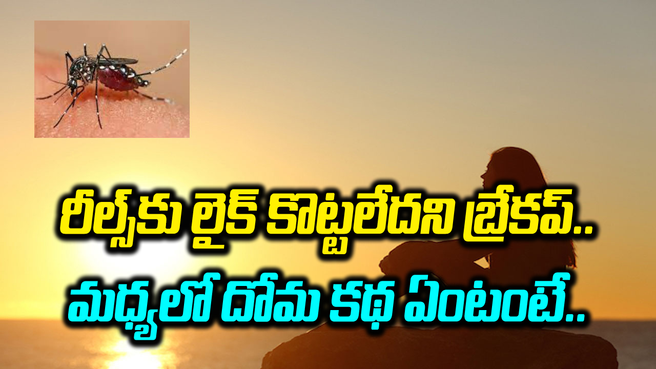 Break Up: ఇదెక్కడి లవ్‌స్టోరీ తల్లి.. రీల్స్‌కు లైక్ కొట్టలేదని బ్రేకప్.. మధ్యలో దోమ కథ ఏంటంటే.. 