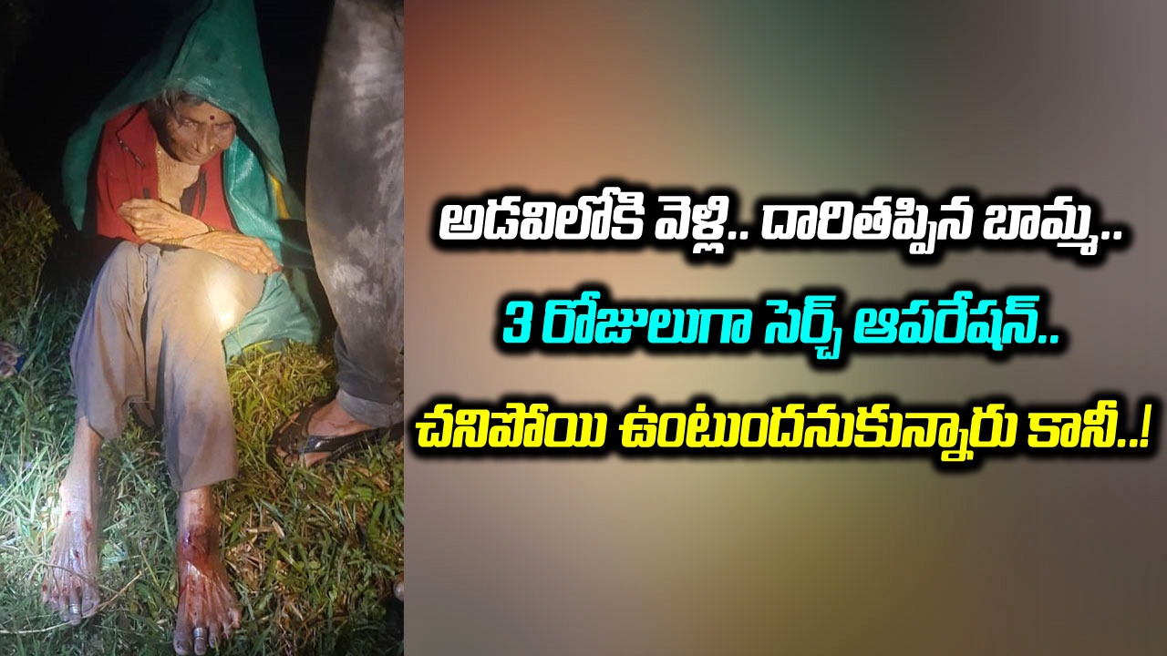 Viral: బామ్మా.. నీ ధైర్యానికి సలామ్.. 85 ఏళ్ల వయసులో.. క్రూర మృగాలు తిరిగే అడవిలో.. మూడు రోజుల పాటు ఒంటరిగా..!