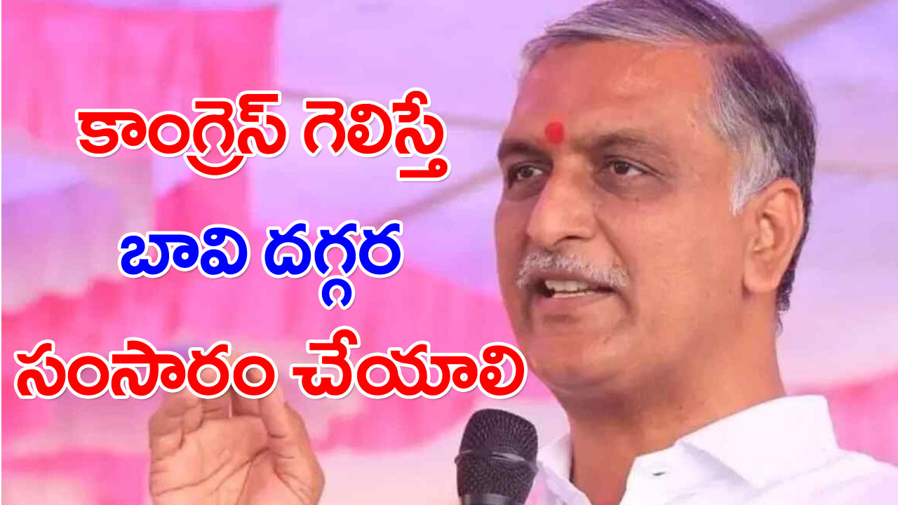 Harish Rao: అబద్ధాలు చెప్పే పార్టీలను ఓడించండి