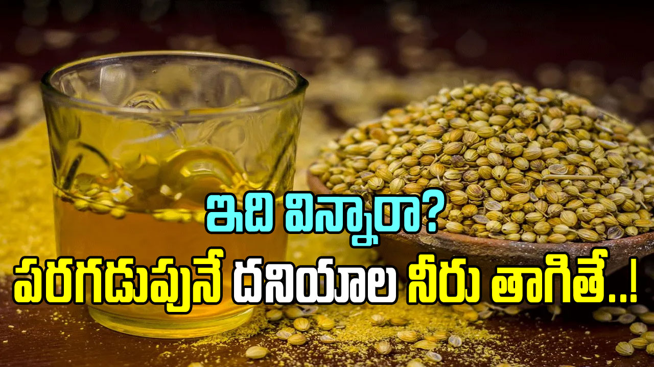 Health Tips: దనియాల నీటిని ఖాళీ కడుపుతో తాగితే జరిగేదేంటి? ఈ షాకింగ్ నిజాలు తెలిస్తే..