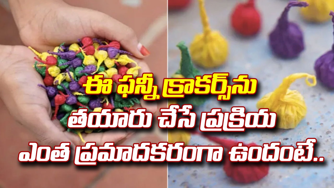 Viral Video: దీపావళికి ఈ పాప్-పాప్ క్రాకర్స్ కాల్చారా? వీటిని ఎలాంటి ప్రమాదకర పరిస్థితుల్లో తయారు చేస్తారో తెలుసా? 