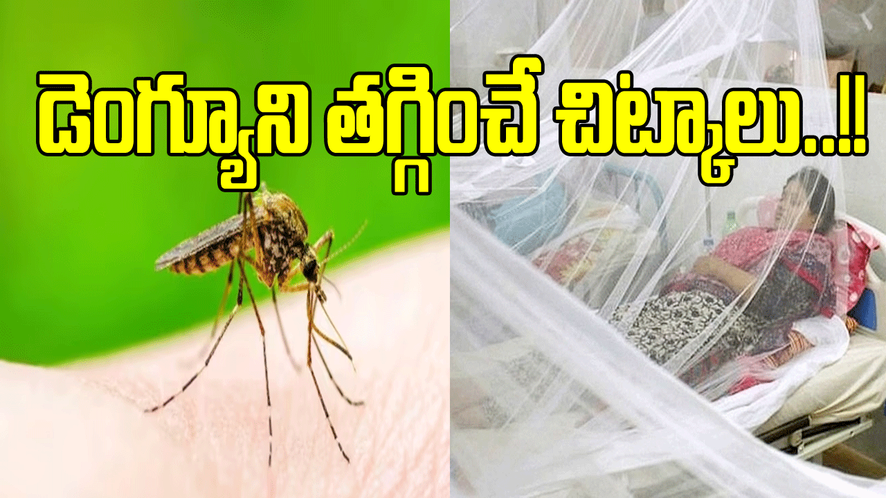 Dengue: ఏ ఆస్పత్రిలో చూసినా డెంగ్యూ రోగులే.. డాక్టర్లు ఇచ్చే మెడిసిన్సే కాదండోయ్.. ఈ వంటింటి చిట్కాలూ డెంగ్యూను తగ్గిస్తాయ్..!