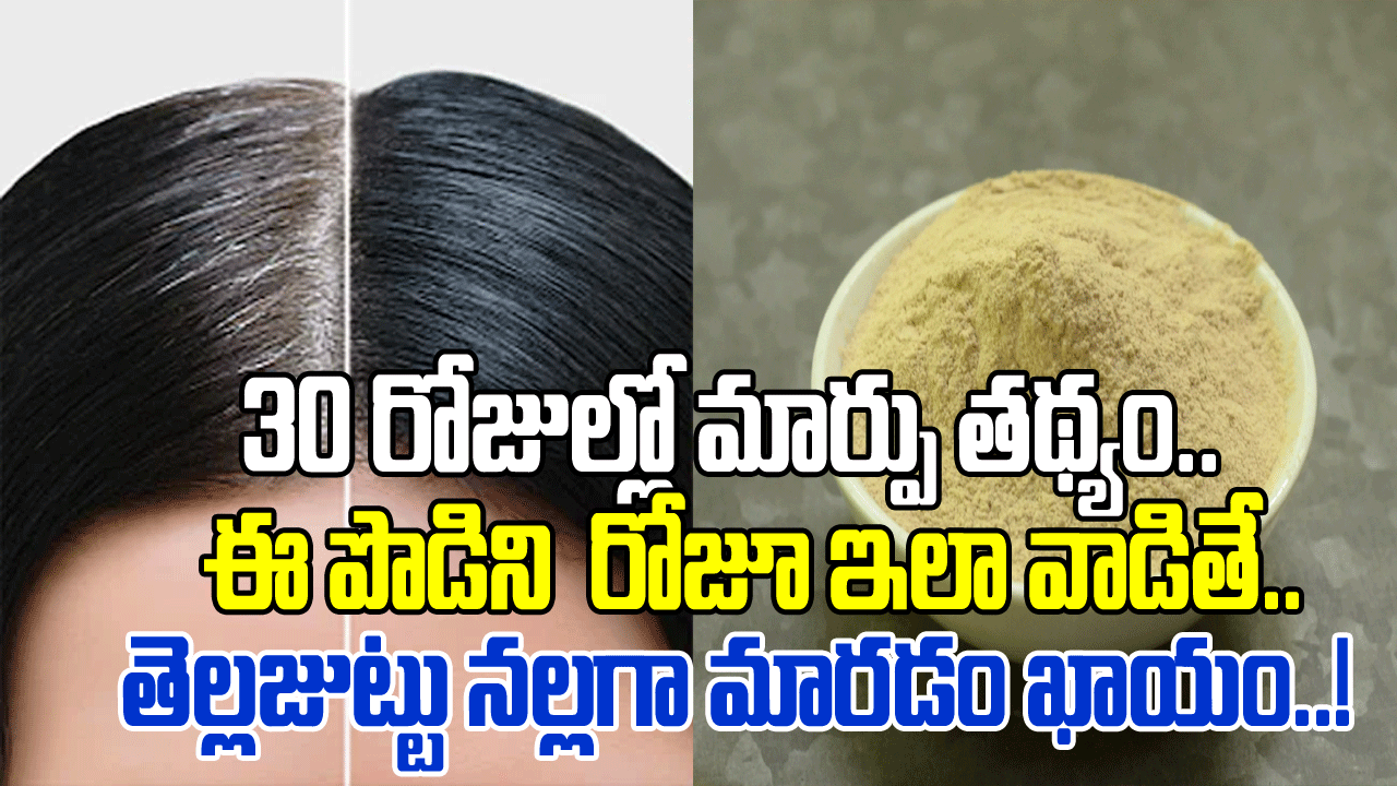 White Hair: ఎంత ప్రయత్నించినా తెల్ల జుట్టు నల్లగా మారిపోవడం లేదా..? ఒక్కసారి ఈ పొడిని ట్రై చేయండి.. 30 రోజుల్లో..! 