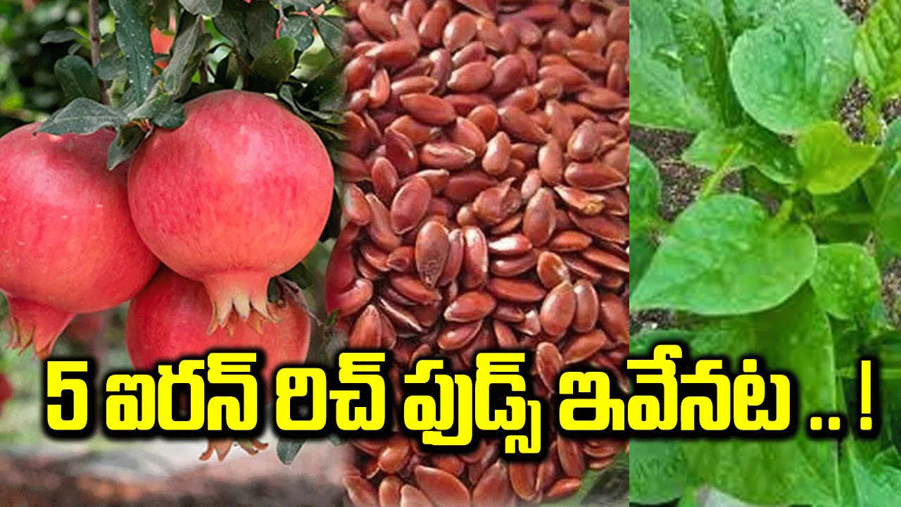 health : అలివ్ విత్తనాల నుండి దానిమ్మ వరకు, తక్కువ హిమోగ్లోబిన్ స్థాయిలున్న 5 ఐరన్-రిచ్ ఫుడ్స్.. !