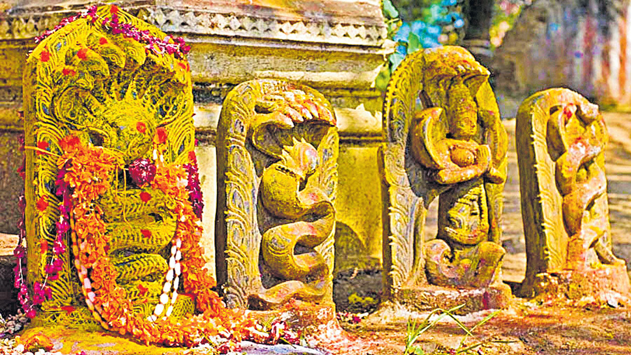 నాగులు, పాములు ఒకటేనా?