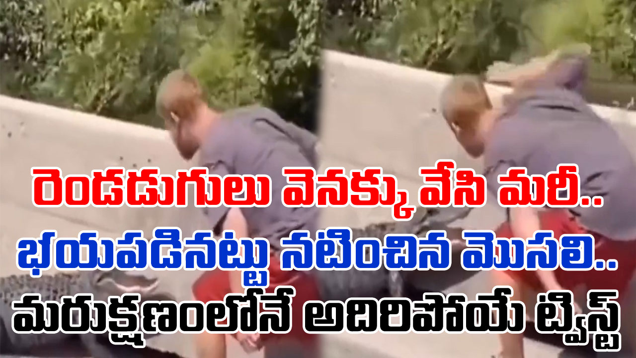 Viral Video: మొసలి భయపడుతోంది కదా అని రెచ్చిపోయాడు.. మరుక్షణంలోనే దిమ్మతిరిగే షాకిచ్చింది..!