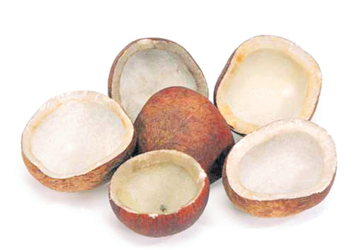  Dry Coconut  : ఎండుకొబ్బరి ఎంతో మేలు!     