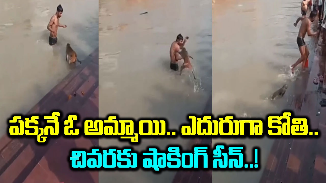 Monkey Video: ఈ కుర్రాడిపై కోతి పగబట్టిందా ఏంటి..? చుట్టూ వందల మంది ఉన్నా అతడిపైనే అటాక్ చేసి..!