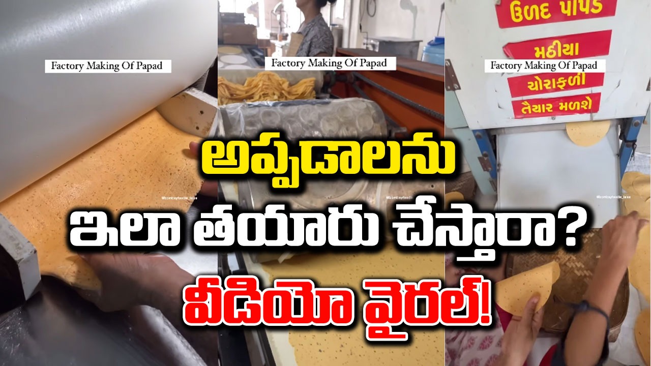 Viral Video: మీరు అప్పడాలు ఇష్టంగా తింటారా? అప్పడాలను ఎలా తయారు చేస్తున్నారో ఒకసారి చూడండి.. వీడియో వైరల్!