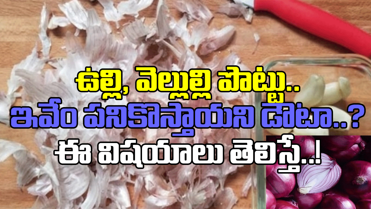 Garlic Onion Peel: ఉల్లిపాయలు, వెల్లిపాయల పొట్టును డస్ట్‌బిన్‌లో పారేస్తున్నారా..? ఈ నిజాలు తెలిస్తే జాగ్రత్తగా దాచిపెడతారేమో..!