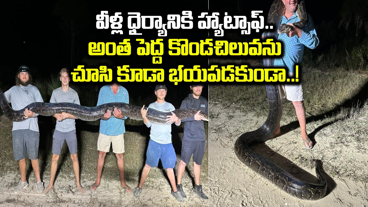 Python: బాబోయ్.. చూస్తోంటేనే గుండెదడ వచ్చేస్తోందిగా.. 17 అడుగుల కొండ చిలువ.. ఐదుగురు వ్యక్తులను ముప్పతిప్పలు పెట్టి మరీ..!