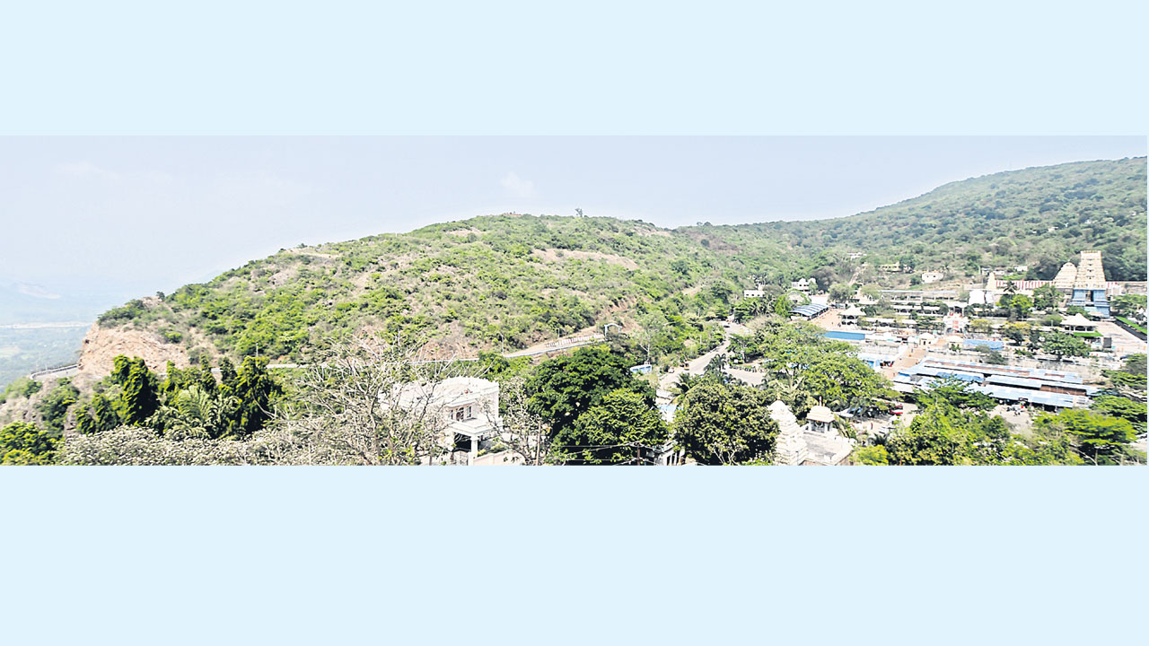 Simghali సింహగిరి దిగువకు ప్రత్యేక మార్గం | A special route down to Simhagiri