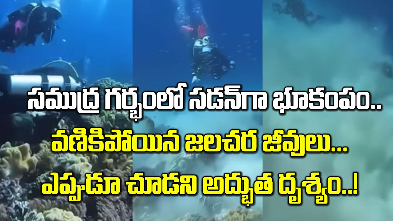 Earthquake Under Sea: మునుపెన్నడూ చూడని అద్భుత దృశ్యం.. సముద్ర గర్భంలో భూకంపం వస్తే ఎలా ఉంటుందో చూడండి..!