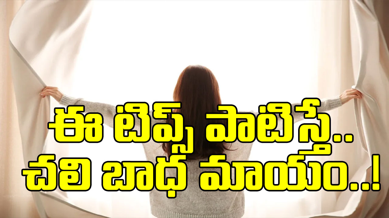 Home Making: చలికాలంలో ఇల్లు వెచ్చగా ఉండటానికి 9 టిప్స్..