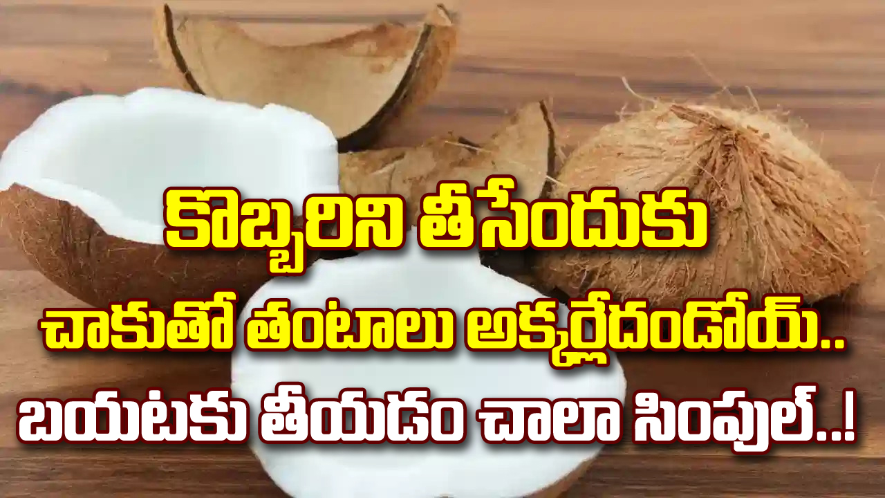 Coconut: కొబ్బరి కాయను సరిగ్గా సగానికి పగలగొట్టేందుకు అదిరిపోయే టెక్నిక్.. లోపల ఉన్న కొబ్బరిని కూడా ఈజీగా తీయాలంటే..!