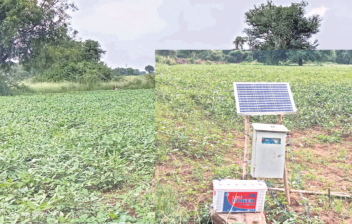 సోలార్‌..అడవి పందులు పరార్‌..!