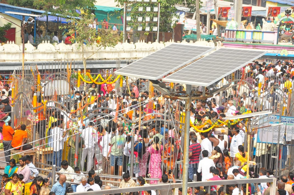 మేడారంలో మంత్రులు సురేఖ, సీతక్క