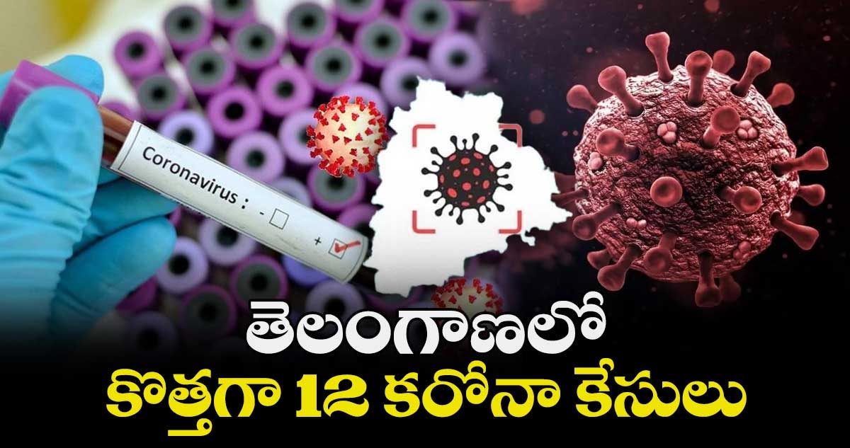 Corona Virus:  తెలంగాణలో 12 కరోనా కేసులు నమోదు